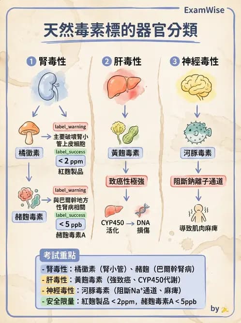 營養 - 天然毒素 - AI 圖文解析預覽