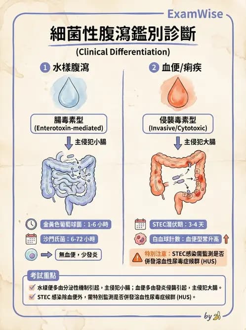 營養 - 食源性病原微生物 - AI 圖文解析預覽