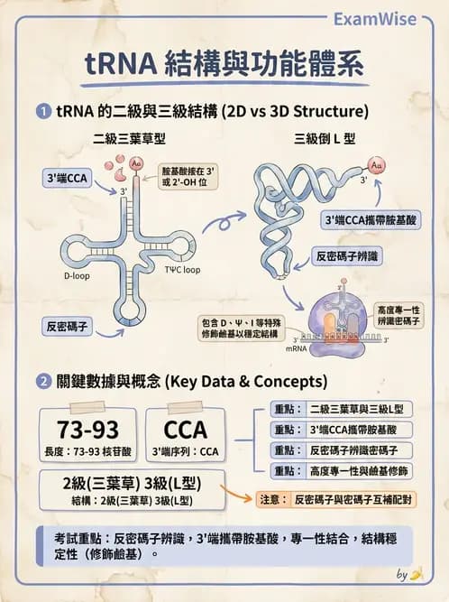營養 - 核酸與基因表現 - AI 圖文解析預覽