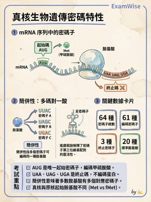 營養 - 核酸與基因表現 - AI 圖文解析預覽