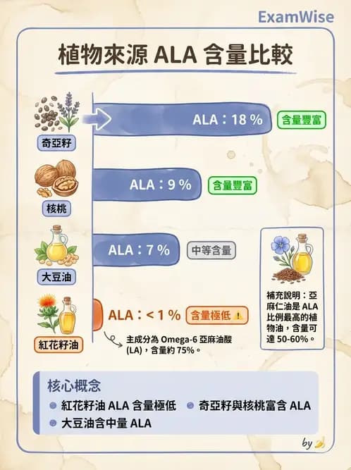 營養 - 脂肪酸種類與必需脂肪酸 - AI 圖文解析預覽