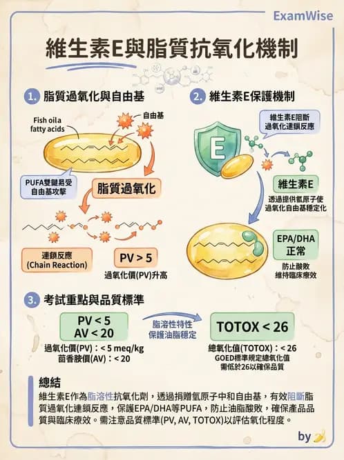 營養 - 維生素E - AI 圖文解析預覽