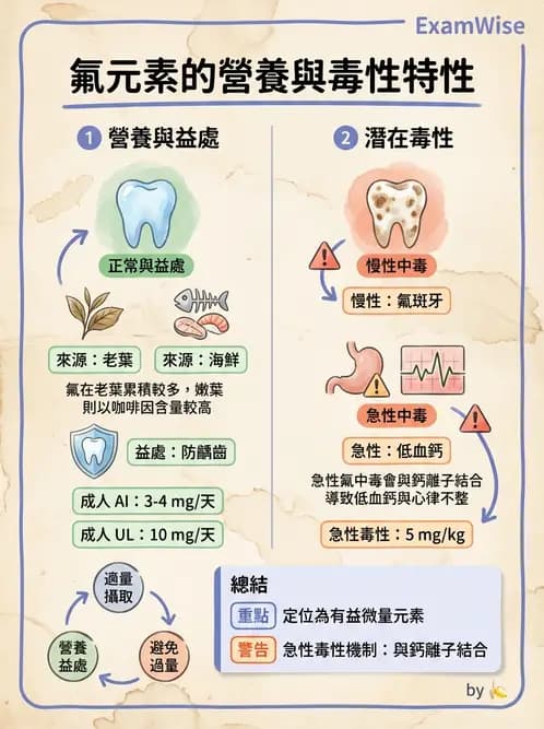 營養 - 氟、鉻及其他微量礦物質 - AI 圖文解析預覽