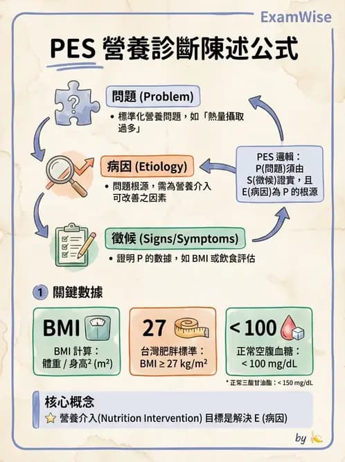 營養 - 營養評估與照護程序 - AI 圖文解析預覽