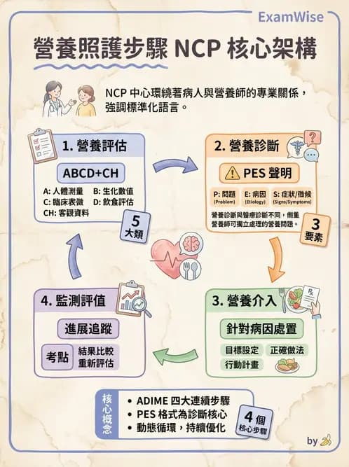 營養 - 營養評估與照護程序 - AI 圖文解析預覽