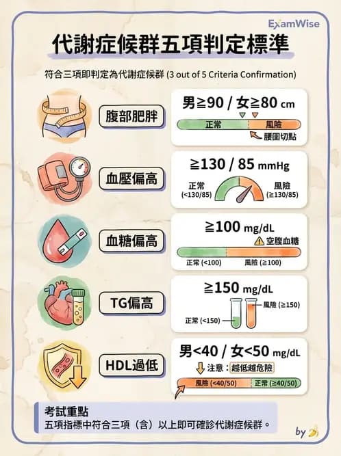營養 - 糖尿病與代謝症候群 - AI 圖文解析預覽