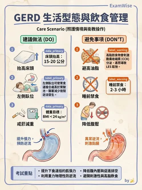 營養 - 腸胃道疾病 - AI 圖文解析預覽