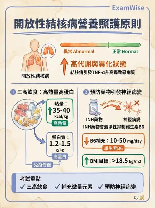 營養 - 呼吸系統疾病 - AI 圖文解析預覽