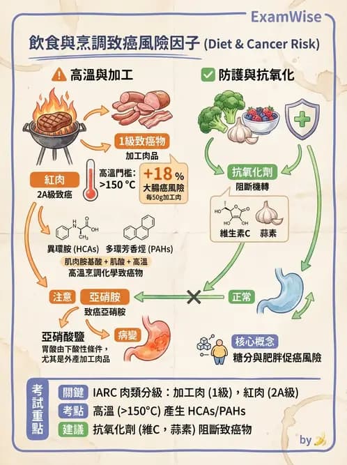 營養 - 癌症營養 - AI 圖文解析預覽