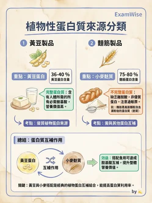 營養 - 動植物性食材製備原理 - AI 圖文解析預覽