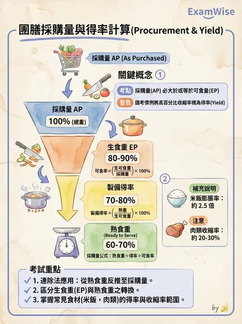 營養 - 食材用量計算與食物代換 - AI 圖文解析預覽