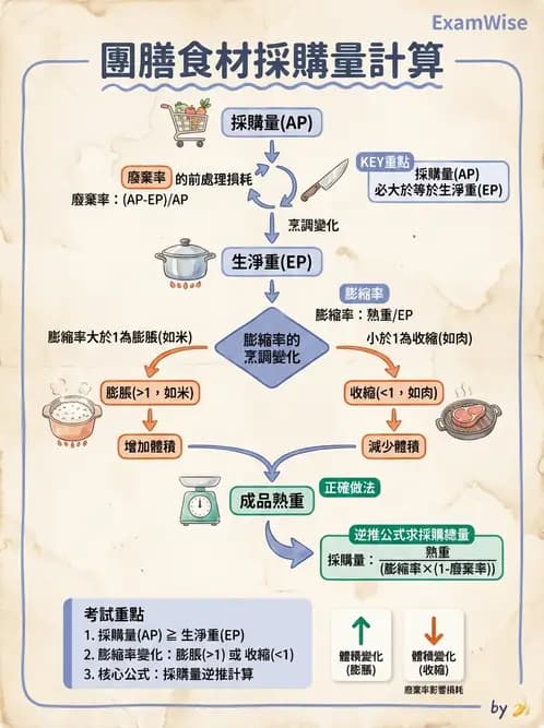 營養 - 食材用量計算與食物代換 - AI 圖文解析預覽