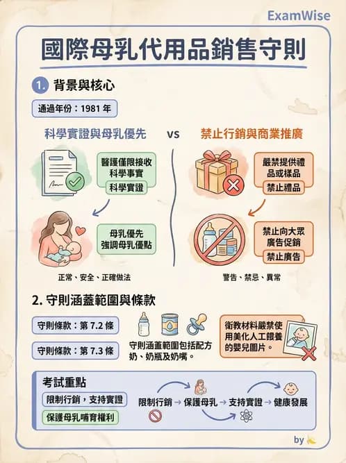 營養 - 母嬰與兒童營養政策 - AI 圖文解析預覽