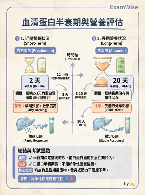 營養 - 生化指標與營養缺乏 - AI 圖文解析預覽