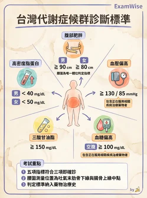 營養 - 體位評估 - AI 圖文解析預覽