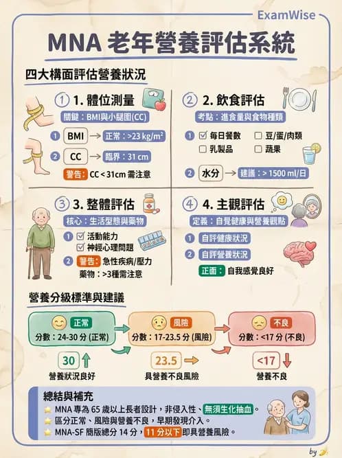 營養 - 營養篩檢與評估量表 - AI 圖文解析預覽