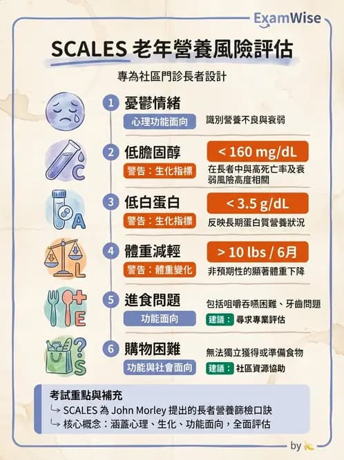 營養 - 營養篩檢與評估量表 - AI 圖文解析預覽