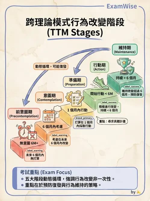 營養 - 健康行為改變理論 - AI 圖文解析預覽