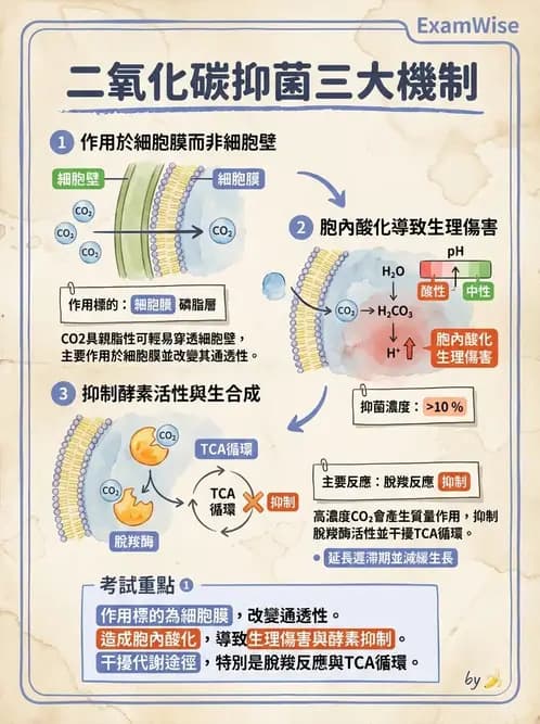 營養 - 食品腐敗微生物學 - AI 圖文解析預覽