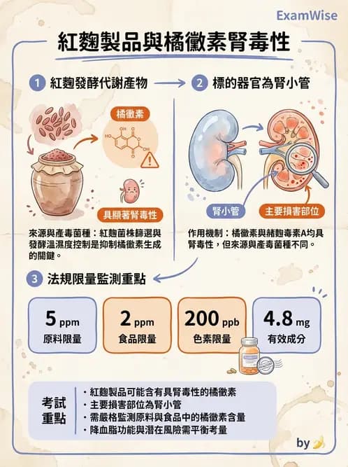 營養 - 天然毒素 - AI 圖文解析預覽