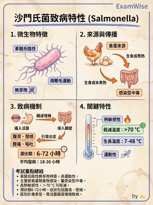 營養 - 食源性病原微生物 - AI 圖文解析預覽