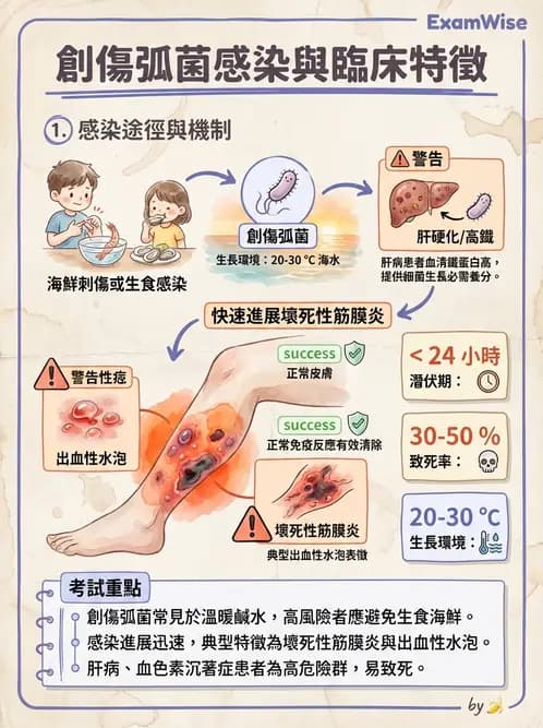 營養 - 食源性病原微生物 - AI 圖文解析預覽