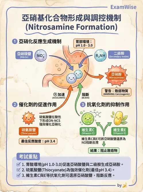 營養 - 化學性危害 - AI 圖文解析預覽