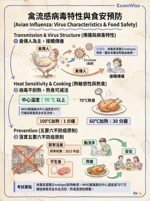 營養 - 食源性病原微生物 - AI 圖文解析預覽