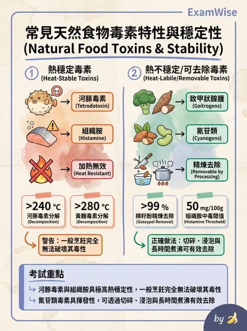 營養 - 天然毒素 - AI 圖文解析預覽