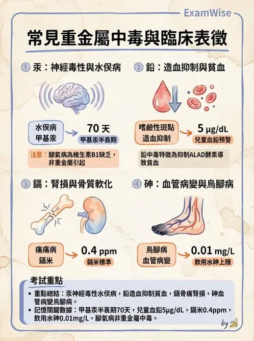 營養 - 化學性危害 - AI 圖文解析預覽