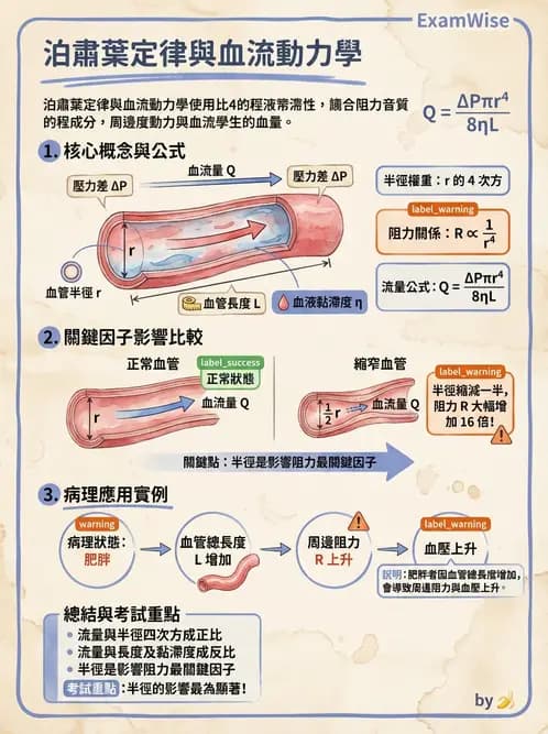 營養 - 心血管系統生理學 - AI 圖文解析預覽