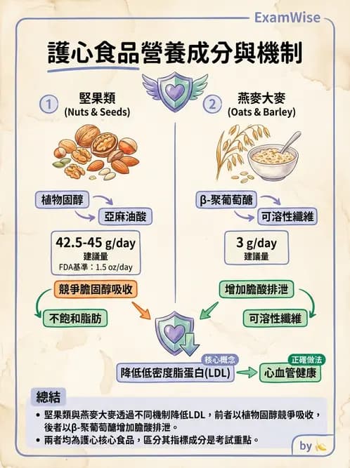 營養 - 脂蛋白與膽固醇代謝 - AI 圖文解析預覽