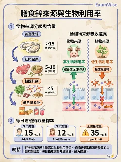 營養 - 鋅與銅營養 - AI 圖文解析預覽