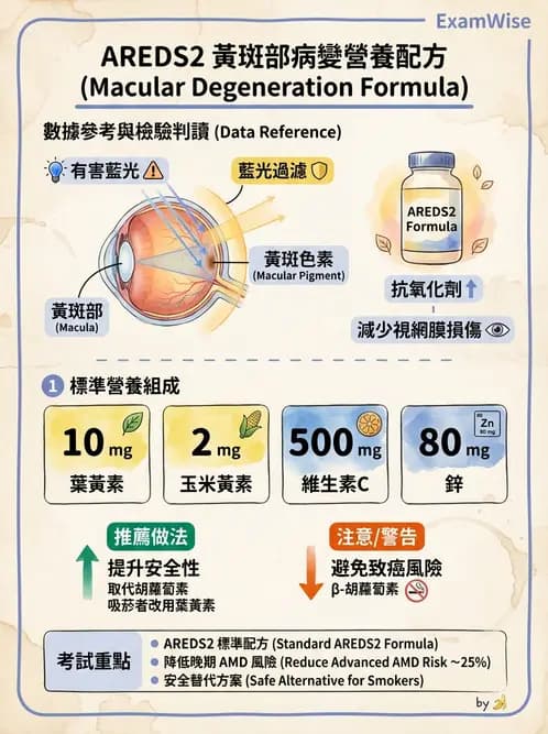 營養 - 當代營養學相關議題 - AI 圖文解析預覽