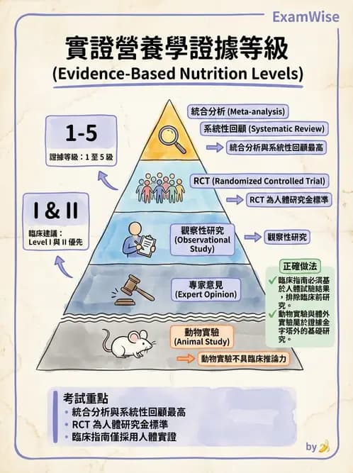 營養 - 營養評估與照護程序 - AI 圖文解析預覽