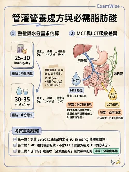 營養 - 營養支持 - AI 圖文解析預覽