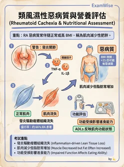 營養 - 骨骼與關節疾病 - AI 圖文解析預覽