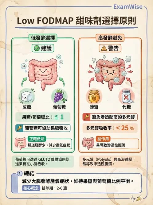 營養 - 腸胃道疾病 - AI 圖文解析預覽