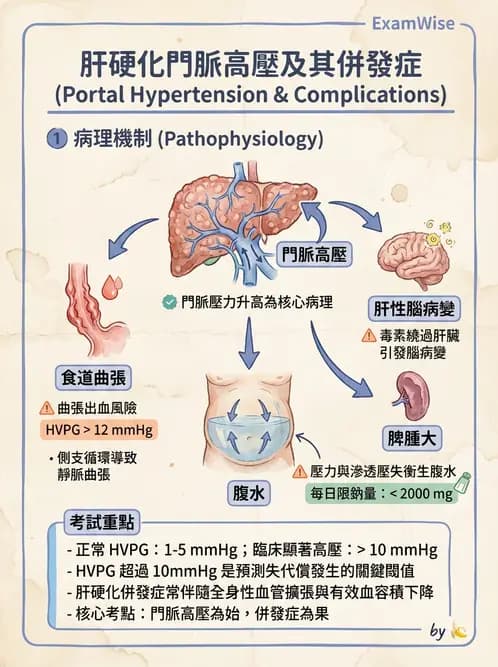 營養 - 肝膽疾病 - AI 圖文解析預覽