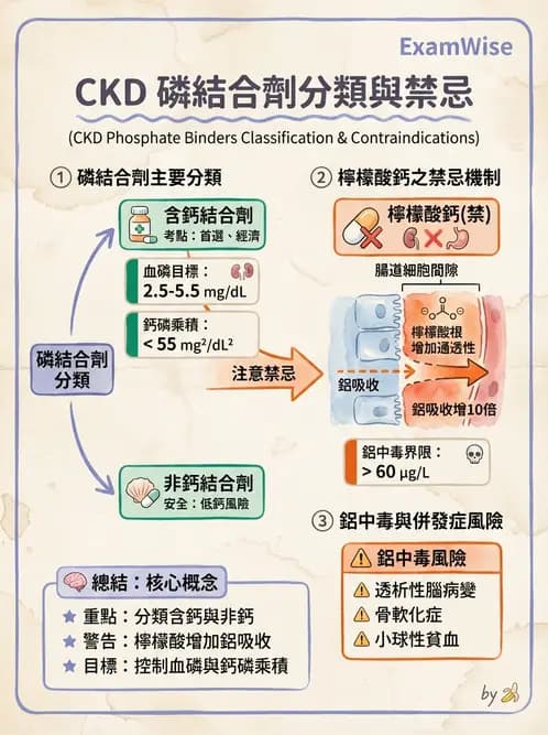 營養 - 透析治療飲食管理 - AI 圖文解析預覽
