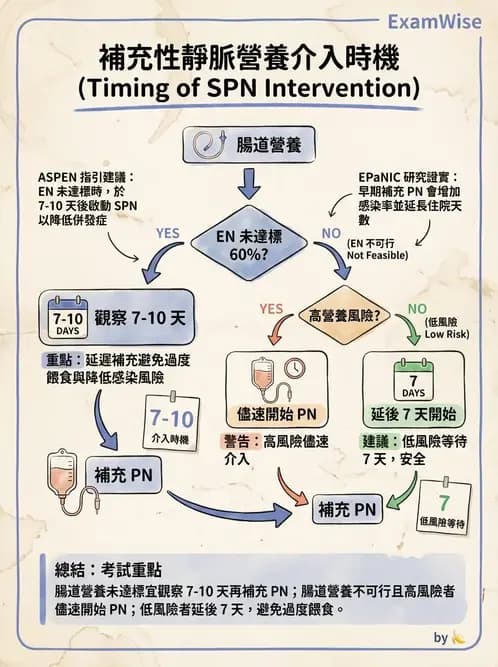 營養 - 營養支持 - AI 圖文解析預覽