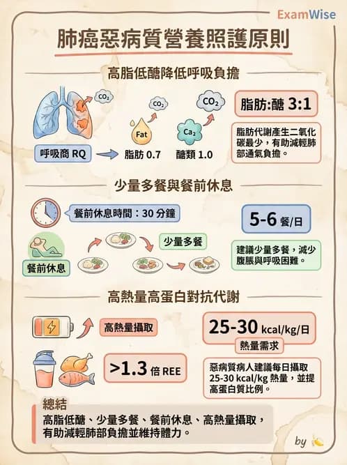 營養 - 癌症營養 - AI 圖文解析預覽