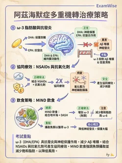 營養 - 老人營養與長期照護 - AI 圖文解析預覽