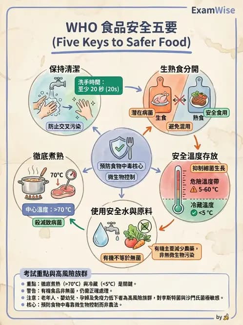 營養 - 老人營養與長期照護 - AI 圖文解析預覽