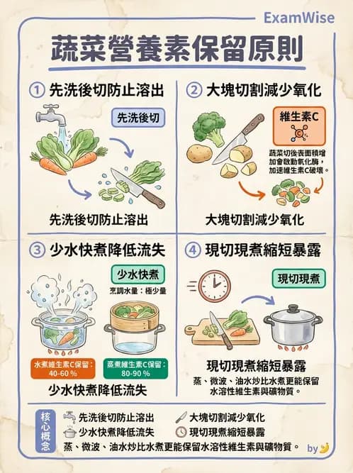 營養 - 動植物性食材製備原理 - AI 圖文解析預覽