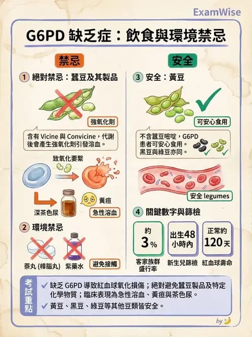 營養 - 機構供膳類型與特殊對象飲食設計 - AI 圖文解析預覽