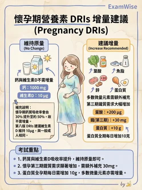 營養 - DRIs與飲食指南 - AI 圖文解析預覽