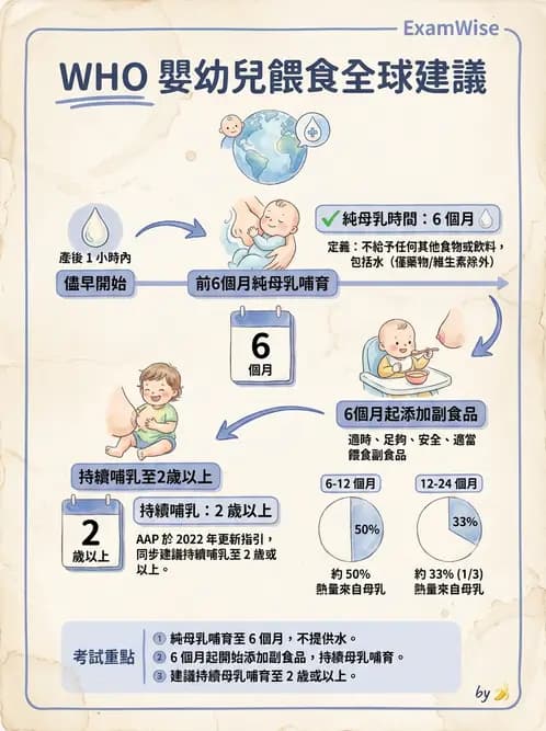 營養 - 母嬰與兒童營養政策 - AI 圖文解析預覽