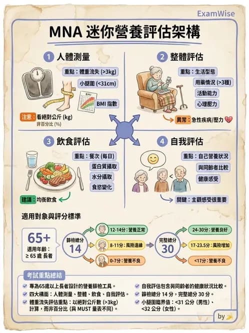 營養 - 營養篩檢與評估量表 - AI 圖文解析預覽