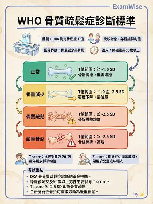 營養 - 生化指標與營養缺乏 - AI 圖文解析預覽